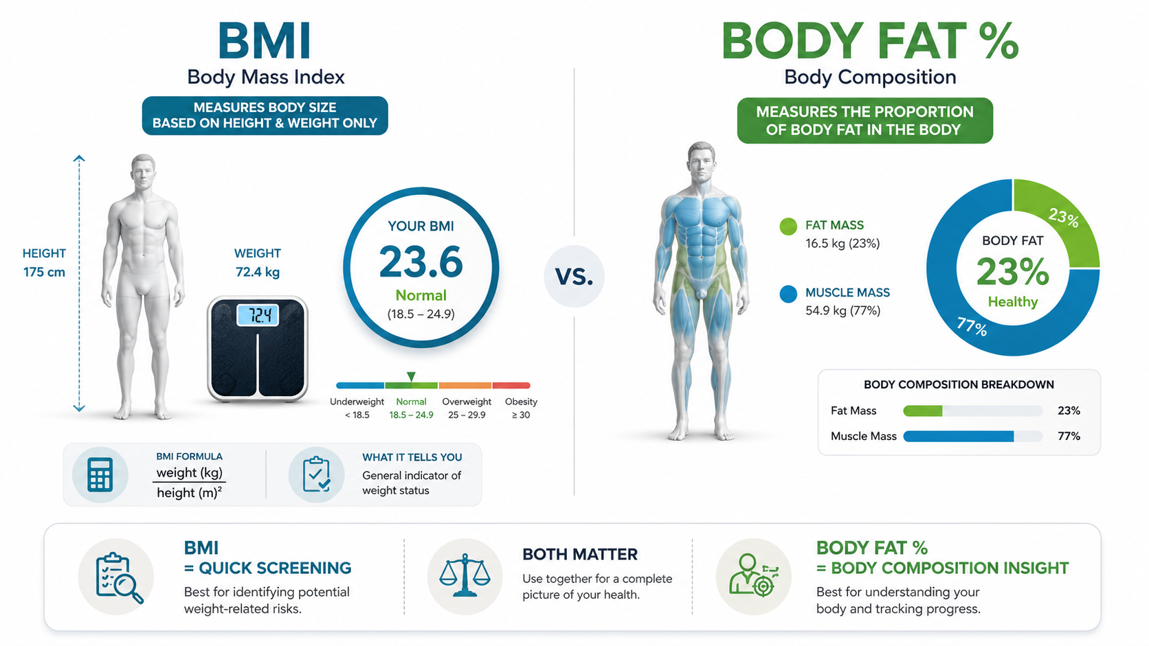 BMI vs Body Fat comparison