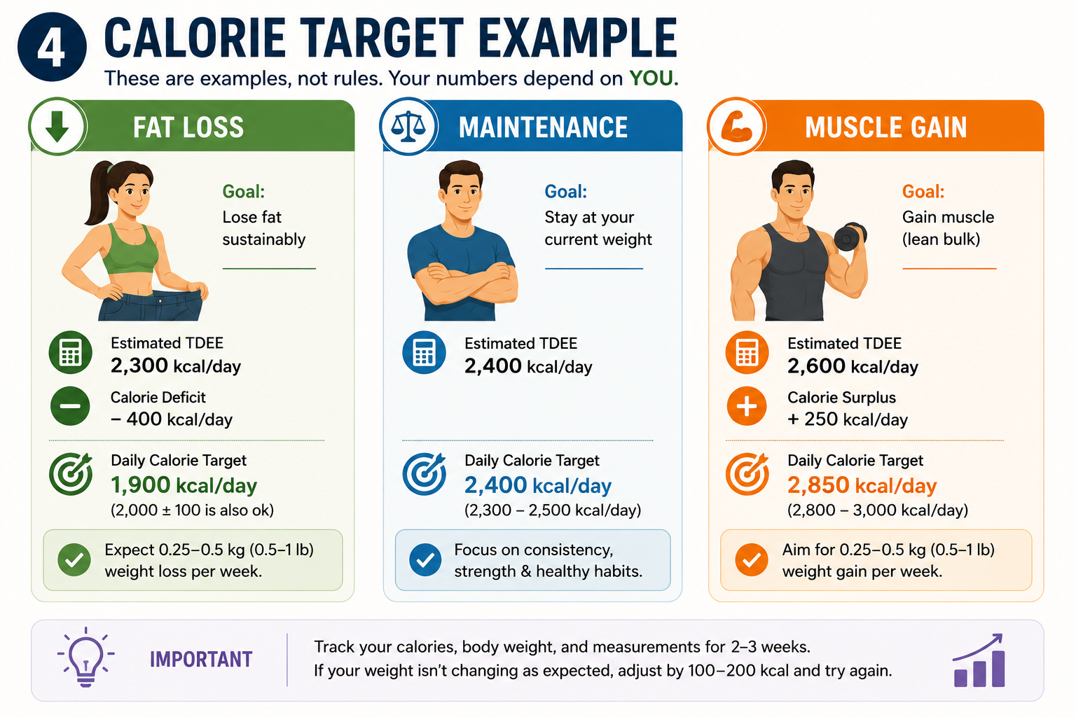 Balanced plate method for calorie management without tracking